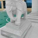 眉山 白麻花岗岩动物异形石雕-大象