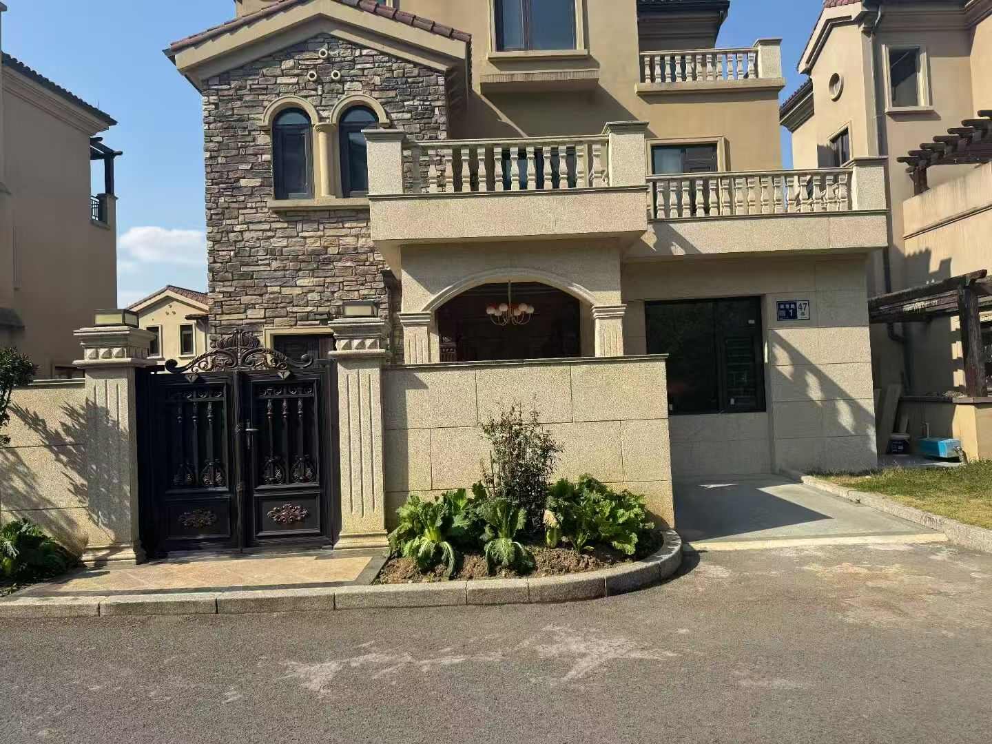 眉山黄金麻别墅案例展示