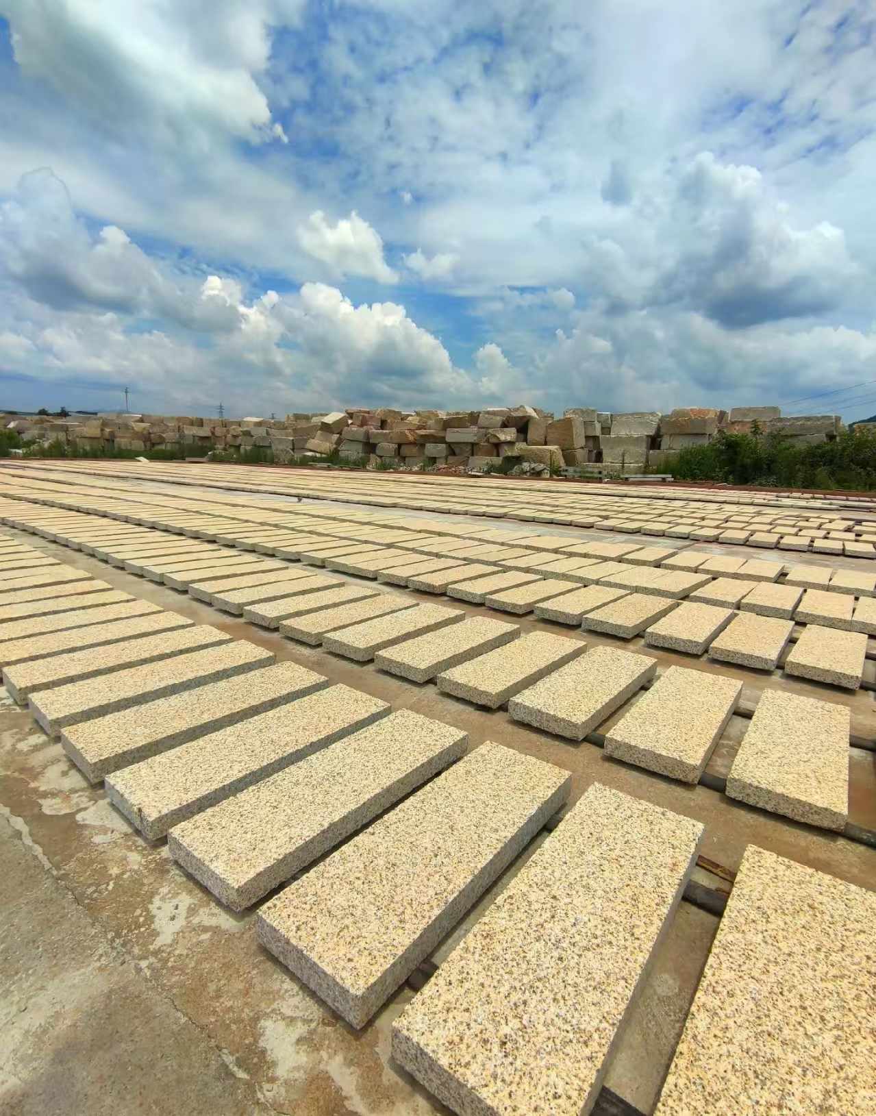 眉山 黄金麻荔枝面花岗岩石材地铺石防护中