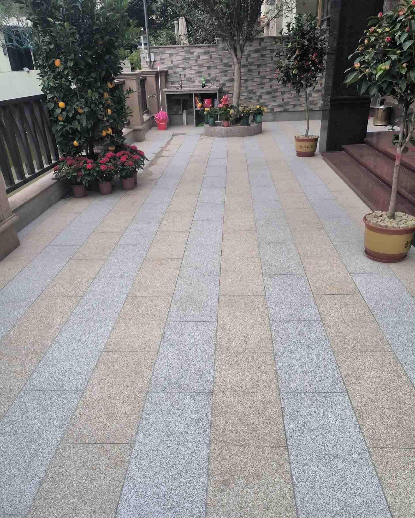 眉山 黄金麻白麻荔枝面庭院铺装展示