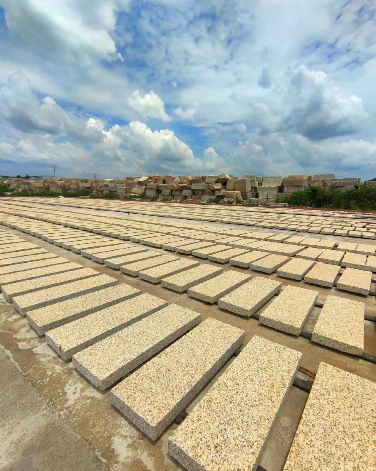 眉山 黄金麻花岗岩荔枝面地铺石防护中